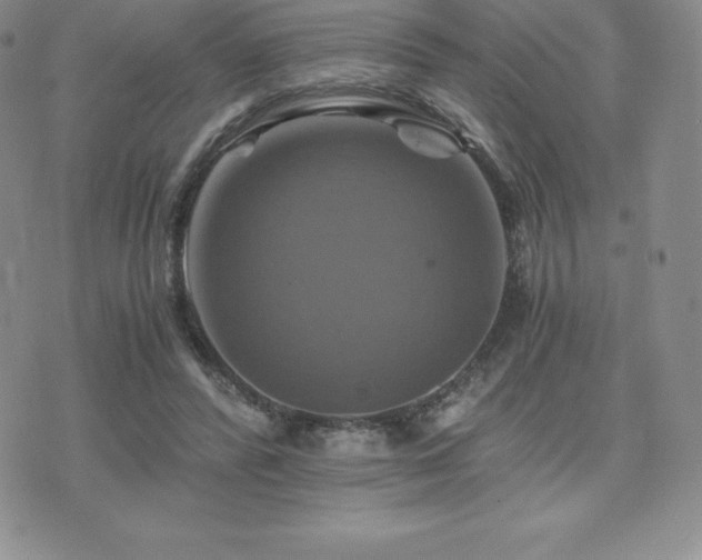 X0000075860400200609151231