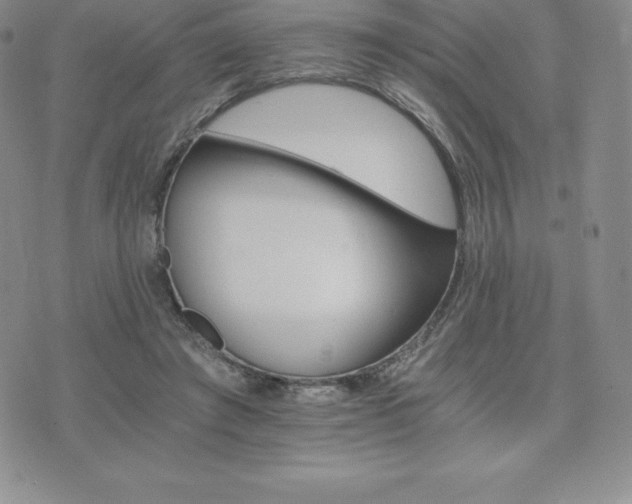 X0000075860401200609151231