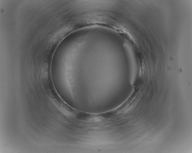 X0000075860402200609151231