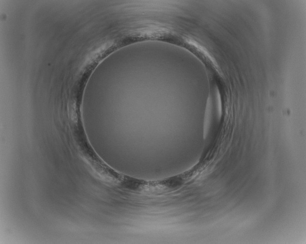 X0000075860403200609151231