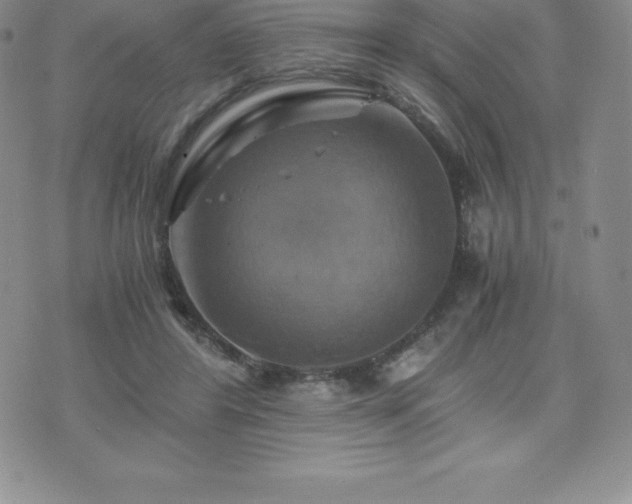 X0000075860404200609151231