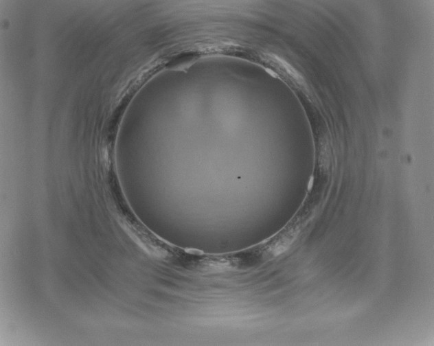 X0000075860405200609151231