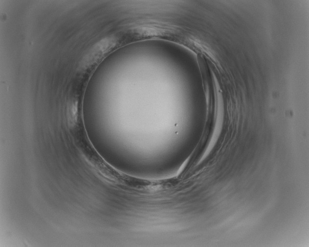 X0000075860406200609151231