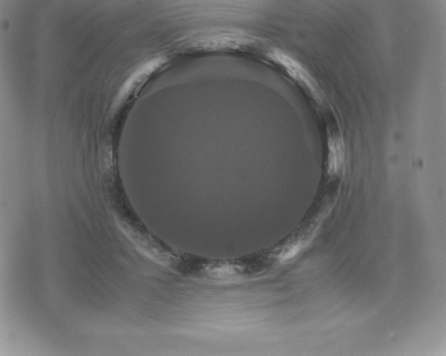 X0000075860407200609151231