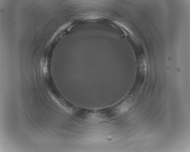 X0000075860408200609151231