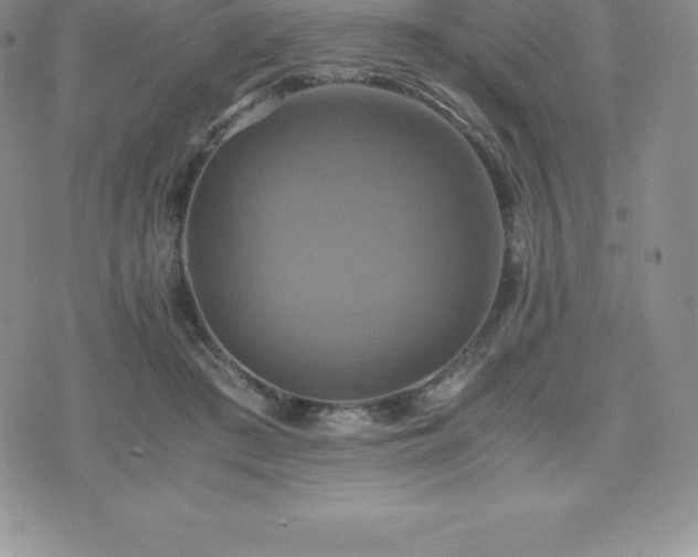 X0000075860409200609151231