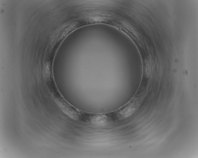 X0000075860410200609151231