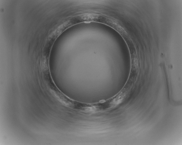 X0000075860411200609151231