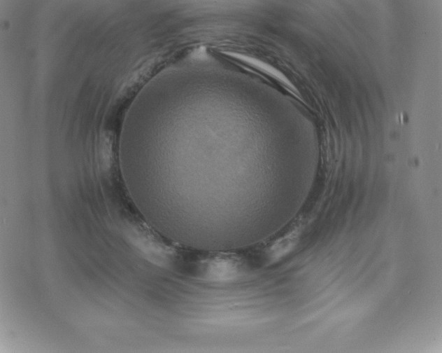 X0000075860412200609151231