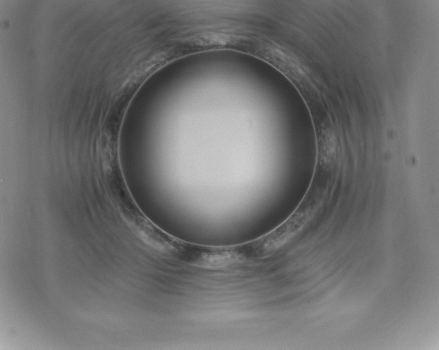 X0000075860414200609151231