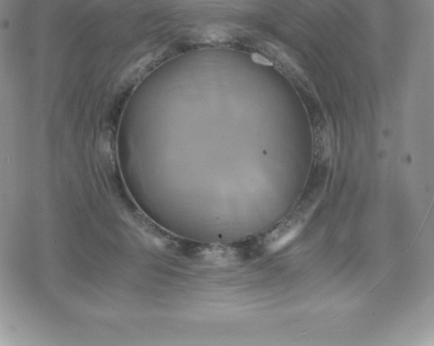 X0000075860415200609151231