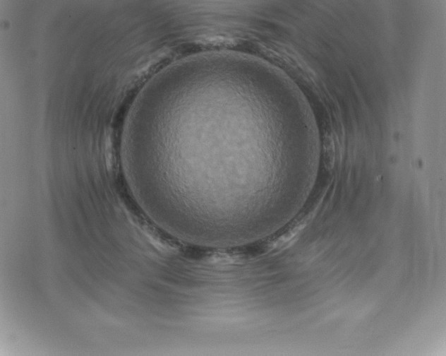 X0000075860416200609151231