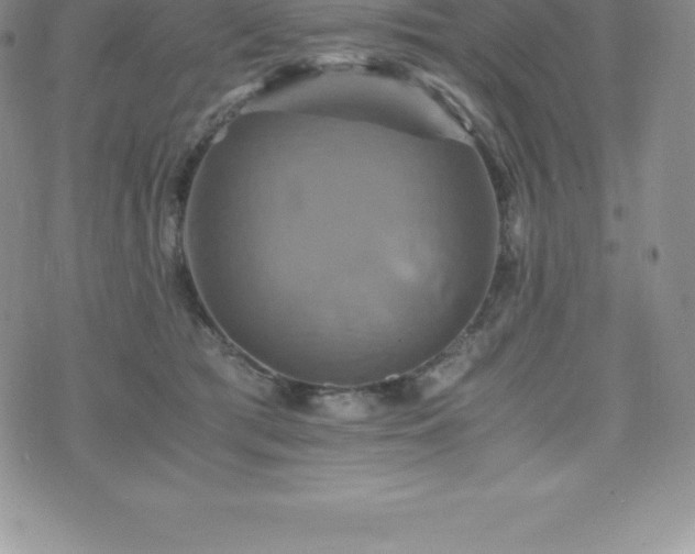 X0000075860417200609151231