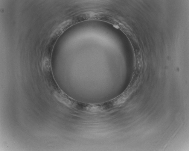 X0000075860419200609151231