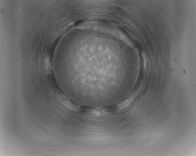 X0000075860420200609151231