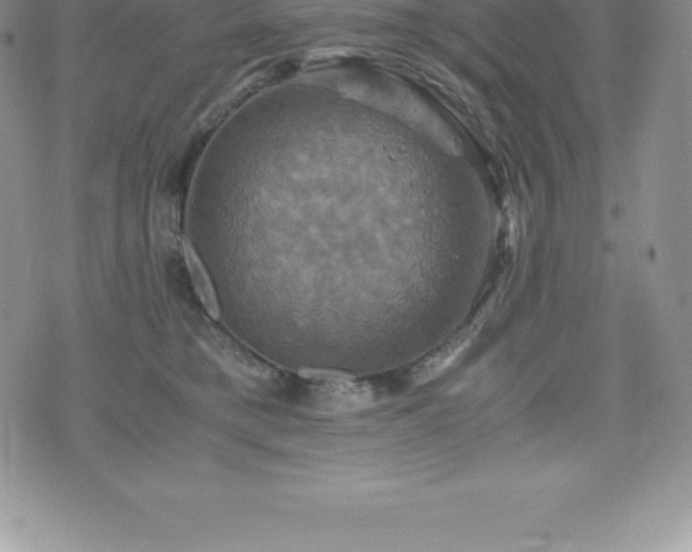 X0000075860421200609151231