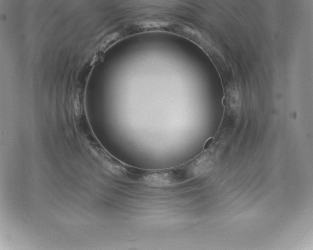 X0000075860422200609151231