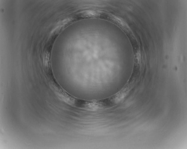 X0000075860423200609151231