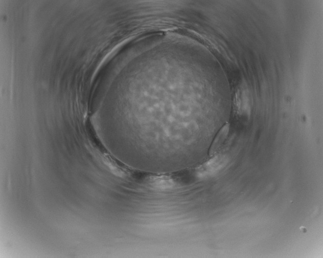 X0000075860424200609151231