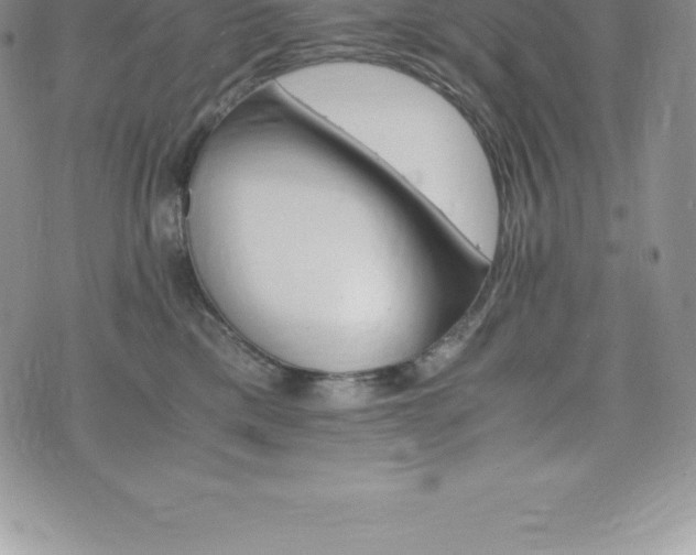 X0000075860425200609151231