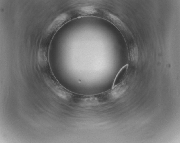 X0000075860426200609151231