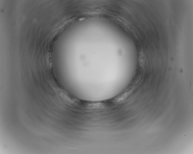 X0000075860428200609151231