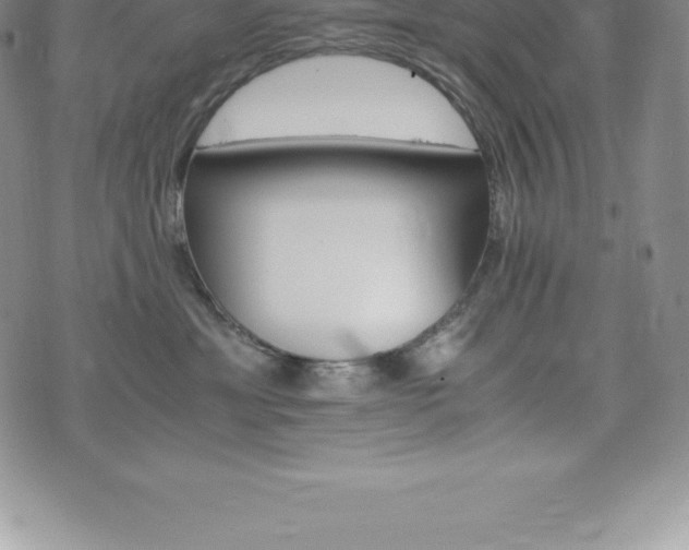 X0000075860429200609151231