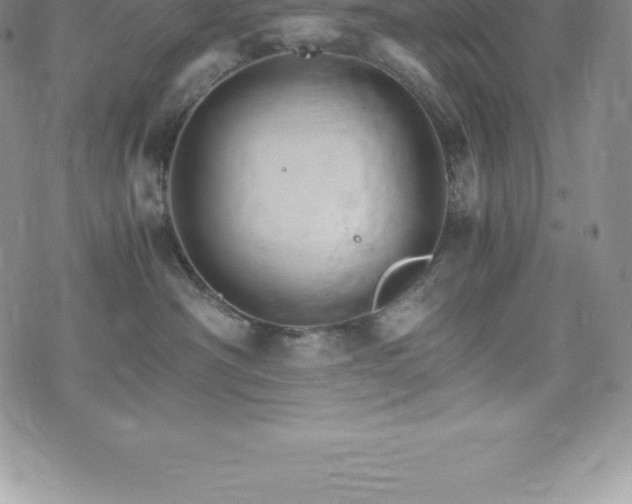 X0000075860430200609151231