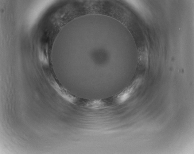 X0000075860431200609151231