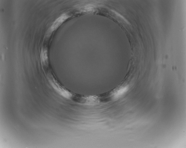 X0000075860432200609151231