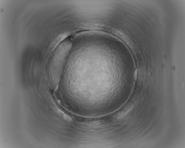 X0000075860433200609151230