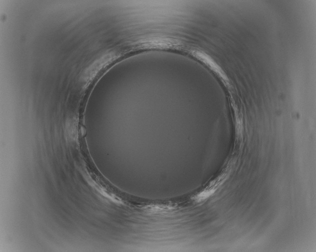 X0000075860434200609151230