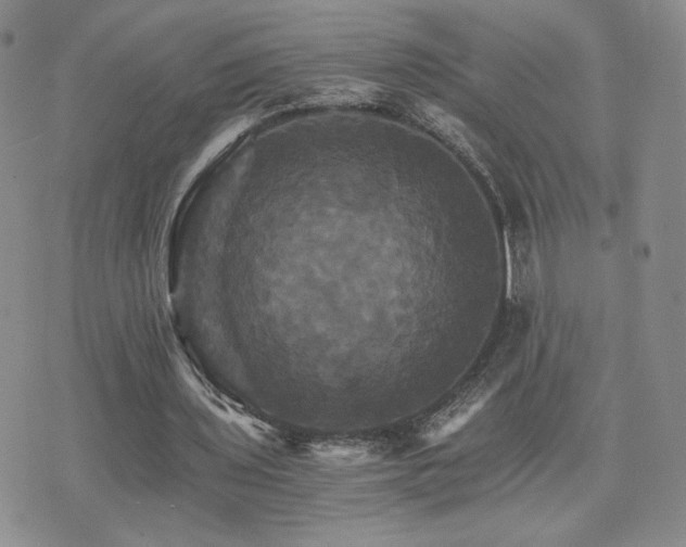 X0000075860435200609151230