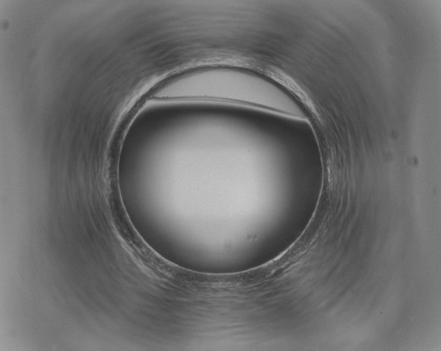 X0000075860436200609151230