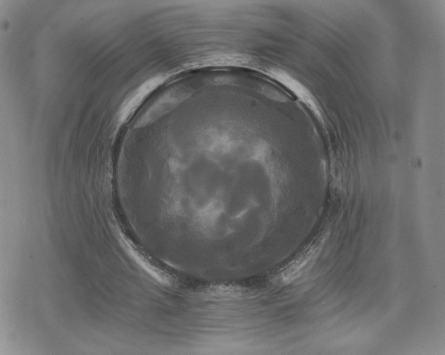 X0000075860437200609151230