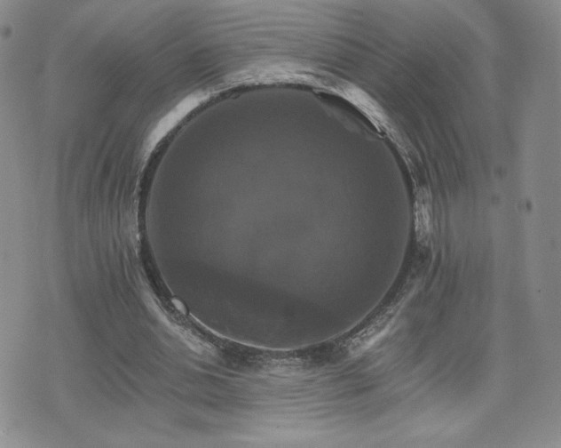 X0000075860438200609151230