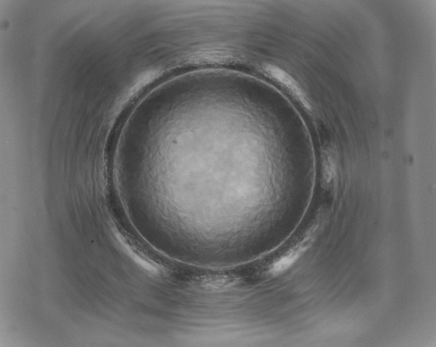 X0000075860439200609151230