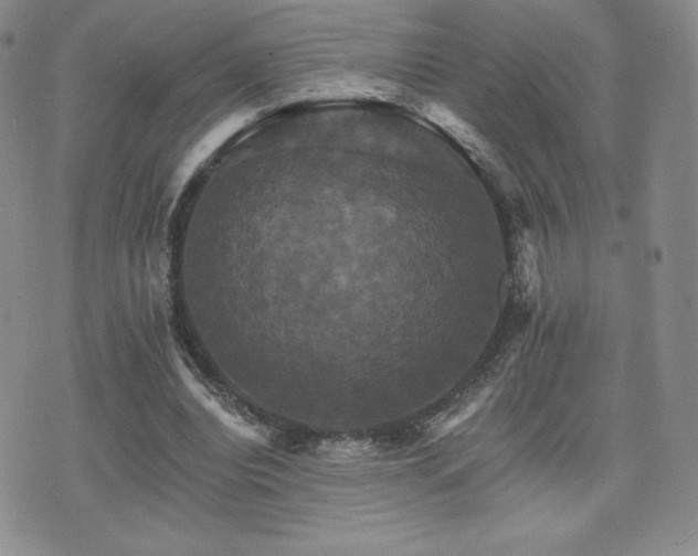 X0000075860440200609151230