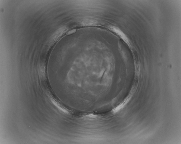 X0000075860441200609151230