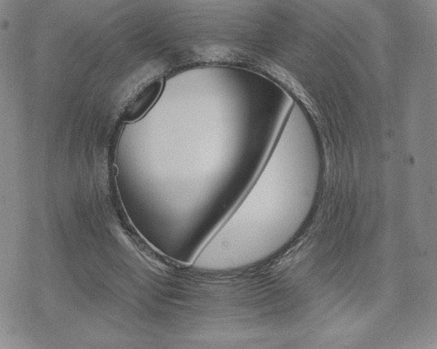 X0000075860442200609151230