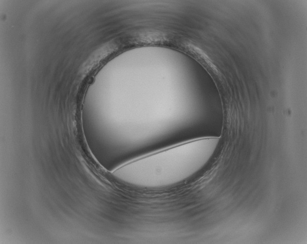 X0000075860443200609151230