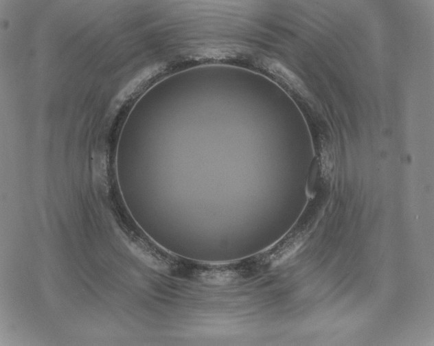 X0000075860444200609151230