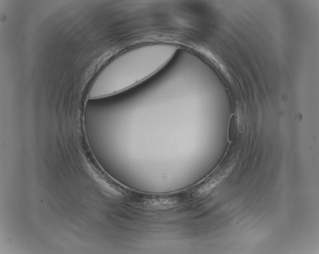 X0000075860445200609151230