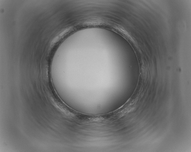 X0000075860446200609151230