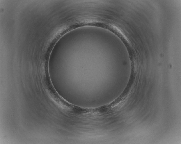 X0000075860447200609151230