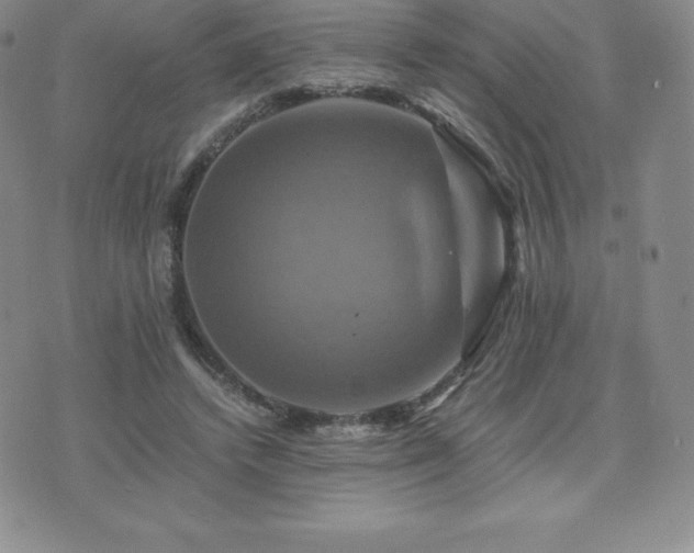 X0000075860448200609151230