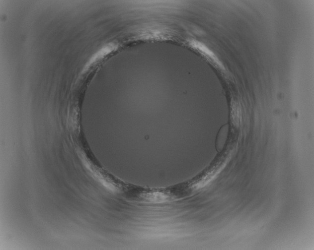 X0000075860449200609151230