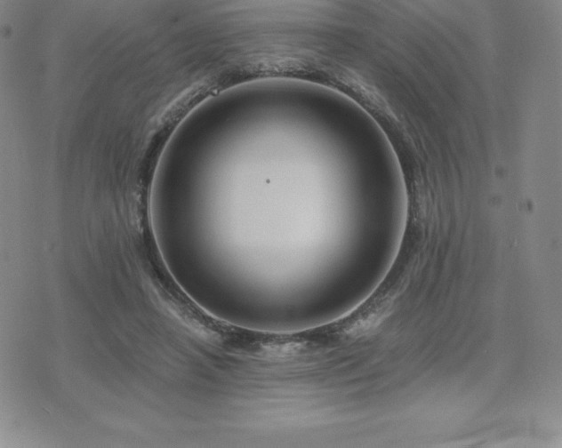 X0000075860450200609151230