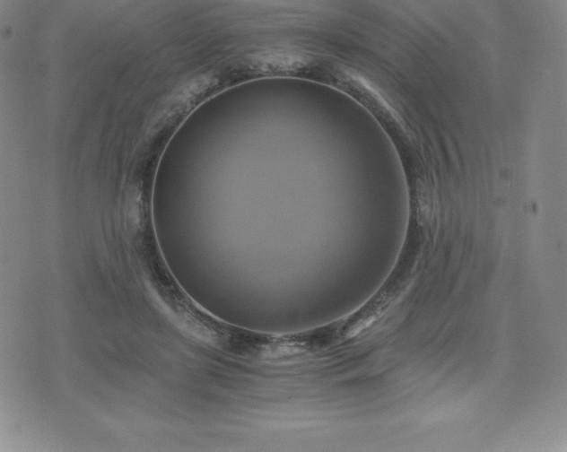 X0000075860451200609151230