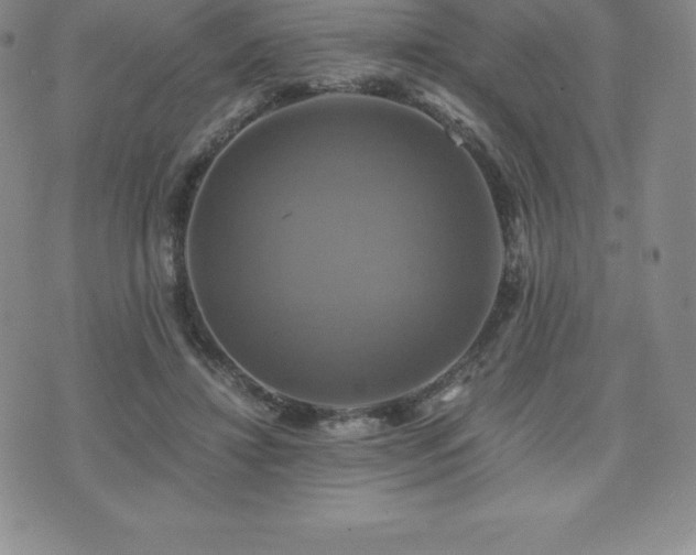 X0000075860452200609151230